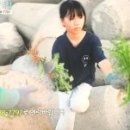 남매약초