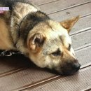 반야농장 이미지