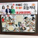 내고향강원도
