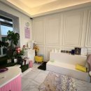 퍼피살롱 이미지