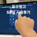 듀오링고 내돈내산 초등학생 58일 사용 후기