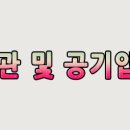 1석3조 카센타 이미지