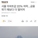 서울 아파트값 22% 하락...금융위기 때보다 더 떨어져 이미지