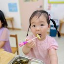 우리동네야채