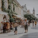 의료법인 정진의료재단 영화병원 | 논현동요양원 영화요양원 부모님을 위한 최적의 선택