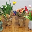 여주시보건소 이미지