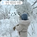 펜션무주네버랜드 | 무주 덕유산 겨울 여행(곤돌라 예약, 설산, 네버랜드 펜션, 카페 브라운)