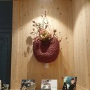 오방사우나 이미지