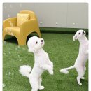 호텔멍 네이버블로그