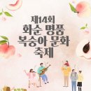 2024년 화순 버스킹 이미지