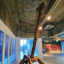 생명의근원Ⅱ 이미지