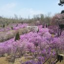 꽃동산유치원 이미지