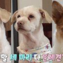 나리솔루션 이미지