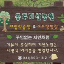 기산농장 이미지