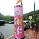 복이애견샵 이미지