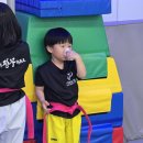 용인대 정무태권도장 이미지