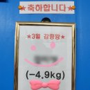 보람핏