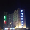 꿈의궁전호텔 | [강원도 묵호] 동해비치호텔