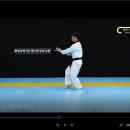 챔프태권도장 이미지