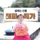 씨앤파인 티스토리