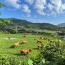 풀로만목장 이미지