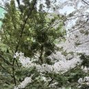 이가손칼국수 | 가양 맛집 | 이가 바지락 손칼국수 방문 후기