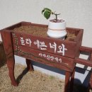 신창부동산 이미지