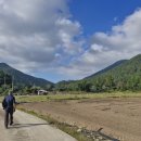 변산농장2 이미지