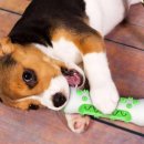 (주)노즈워크 이미지