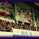 2011 전국장사씨름대회 이미지