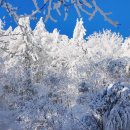 쉼터공원 화장실 이미지