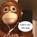 황도물산 | 9월 출근 끝난 나의 한 달 일기