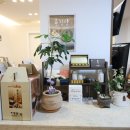 오전한의원 이미지