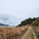 서울민박 | 추자도 신양항에서 추자면사무소까지, 다채로운 풍경을 만나는 제주 올레 18-2 코스