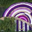 인제분식 이미지