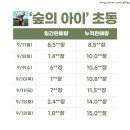 숲의 아이 이미지