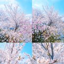 단운천교 네이버블로그
