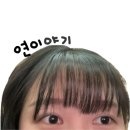 엠에스렌트 이미지