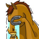 웨스트코스트트레이닝 이미지