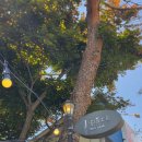 수유 4.19 카페거리 브런치 카페 제이스파크(J's Park) 후기