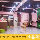 소울메이독 이미지