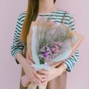 비플레르