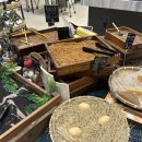 카페라임 | 경기도 용인 대형카페 라임글라스(LIMEGRASS) 방문 후기