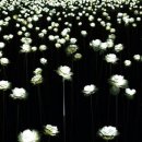 희망의 나래 이미지