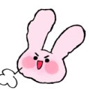 몰리스펫샵 이마트광교점 이미지