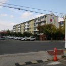 사파동128 이미지