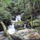 8,13일 정기산행 홍천,백우산(894m)계곡산행 이미지