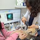 상상동물병원 이미지