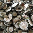 해품은농장 이미지