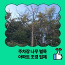 위성아파트 | 주차장 나무 벌목 아파트 조경 업체